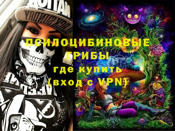 бошки Надым